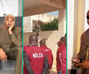 Pretty Mike Loses Lagos Nightclub After Late-Night NDLEA Raid: “His Hard-Earned Sweat Gone”