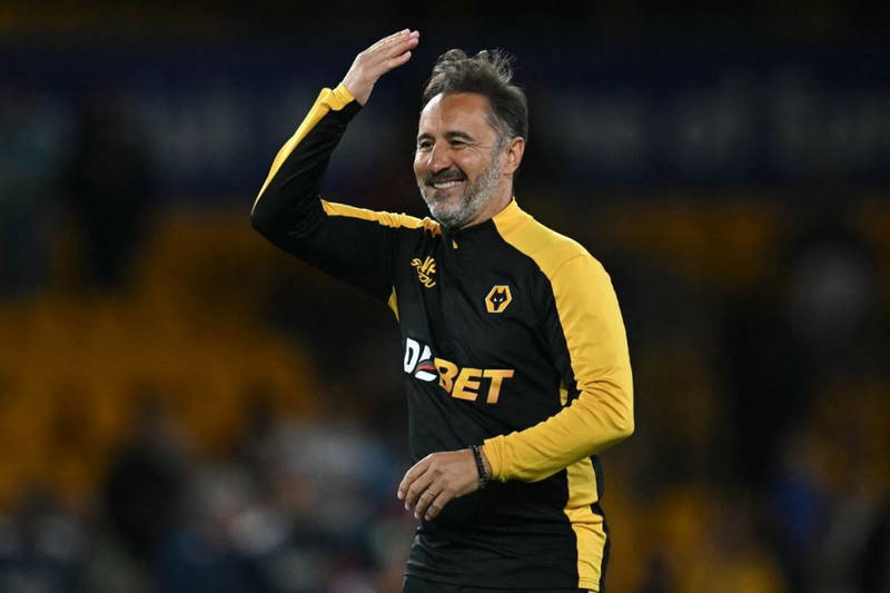EPL: Wolves sack head coach Vitor Pereira