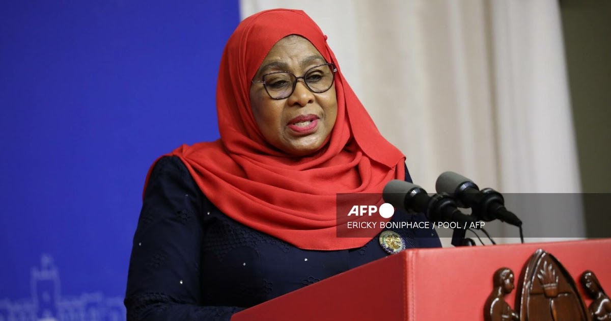 Tanzania’s President Orders Probe into Election Killings, Urged Leniency for Youths