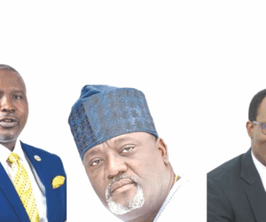 ALTON Calls for Clearer Regulatory Boundaries in Nigeria’s Digital Economy Bill | Tech | Business