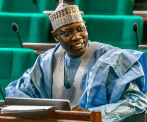 Reps Decry Mass Exit Of Lecturers From Universities