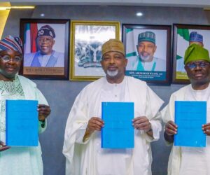 FG unveils national strategy for meeting EU deforestation regulation