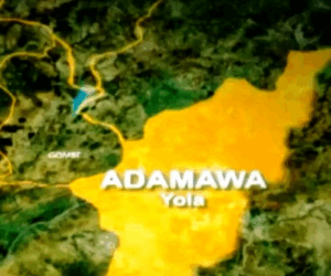 Three Killed As Hoodlums Attack Hunters, Burn Huts In Adamawa Community