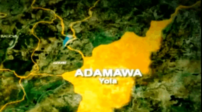 Three Killed As Hoodlums Attack Hunters, Burn Huts In Adamawa Community