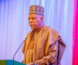 Afam Power Sale To Transcorp Moves Forward As Shettima Calls For Overhaul Of Privatisation Strategy – Arise News