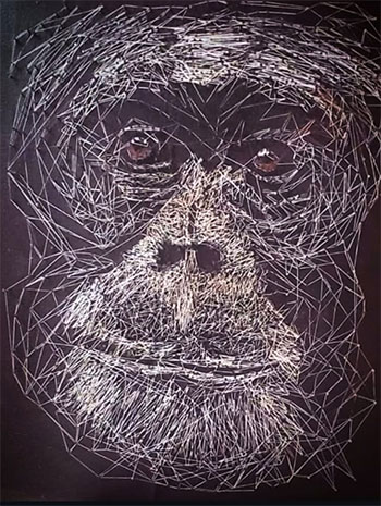 The Alchemy Of Waste, The Architecture Of Wonder 