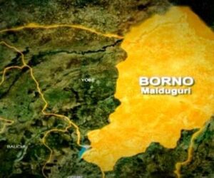 Concerns as soldiers linked to Boko Haram reportedly escape in Borno jail break