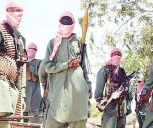 Panic As Lakurawa Terrorists Abduct Kebbi Deputy Speaker