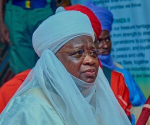 “Offer Bandits Amnesty, Money, Like Yar’Adua Gave Niger Delta Militants” – Arewa Leaders Urges Tinubu