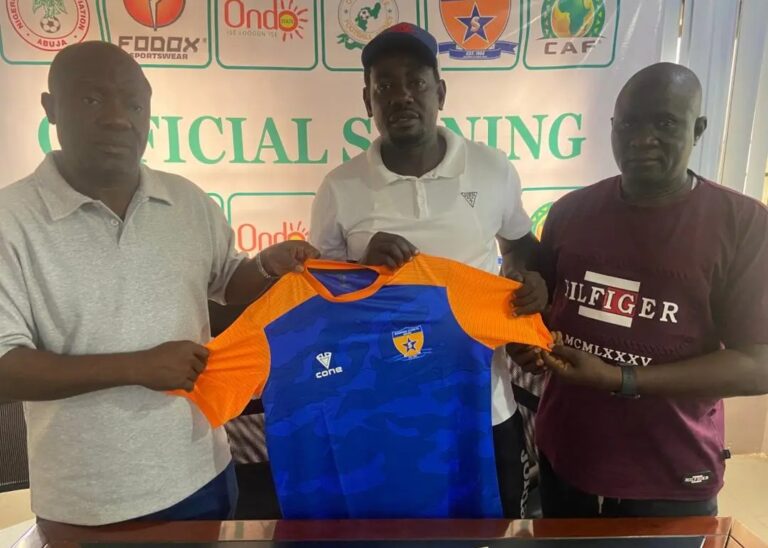 NPFL: Sunshine Stars name new head coach