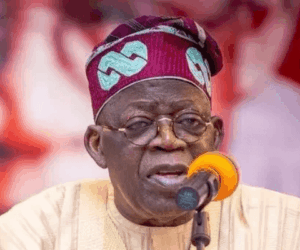 Tinubu nominates Fani-Kayode, Omokri, Yakubu, Ugwuanyi for ambassadorial positions