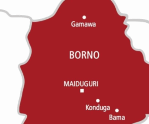 Govt’s ‘mistakes’ prolonging terror attacks in North East, Borno residents allege