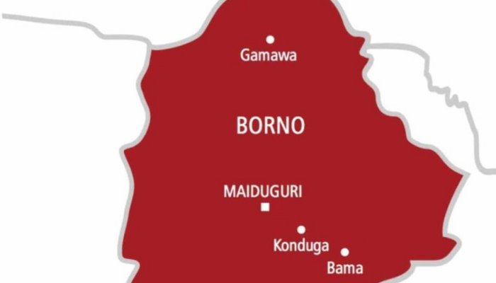 Govt’s ‘mistakes’ prolonging terror attacks in North East, Borno residents allege