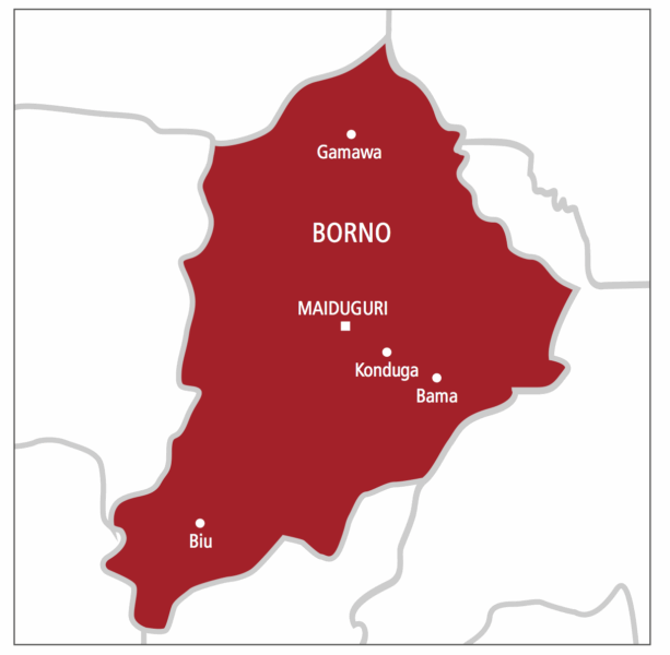 Borno: Abductors Of Female Teenagers Demand N10m Ransom