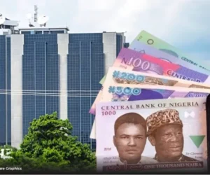 Should CBN introduce higher naira denomination?