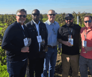 California Wines poised to lead in Africa – Ikem