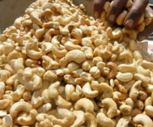 Nigeria, Vietnam sign historic MoU for cashew production, business exchange 