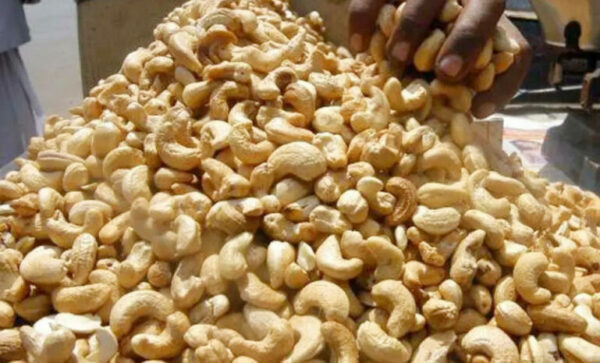 Nigeria, Vietnam sign historic MoU for cashew production, business exchange 