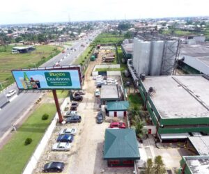 Champion Breweries Profit Soars 1,661% as Revenue Hits N21.4bn in Q3 2025 | Tech | Business