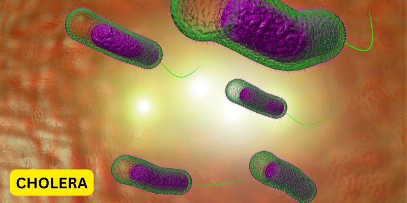 Cholera Claims 13 Lives In Adamawa