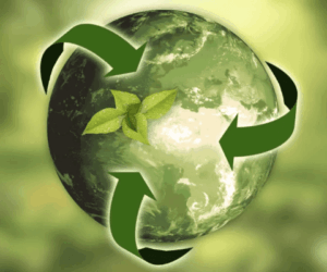Circular economy: Turning waste into wealth