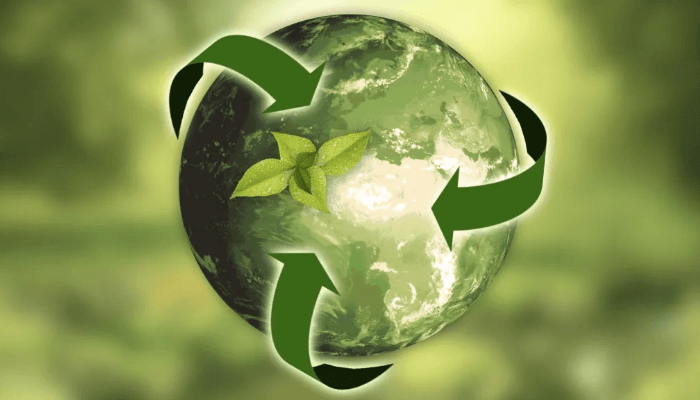 Circular economy: Turning waste into wealth