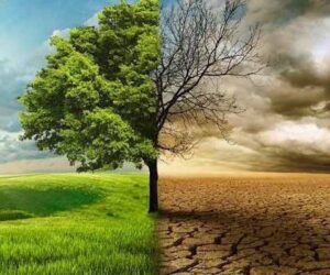 AXA Mansard urges businesses to adopt sustainable models for climate risks