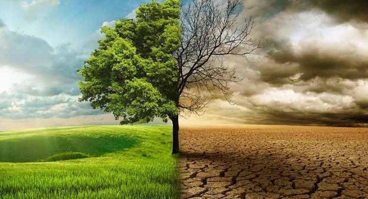 AXA Mansard urges businesses to adopt sustainable models for climate risks