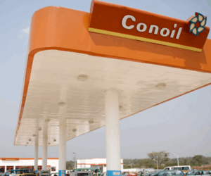 Conoil to Pay N3.50 Final Dividend, Sets Date for 55th AGM | Tech | Business
