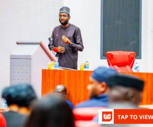 Nigeria’s digital economy bill hands sweeping powers to NITDA