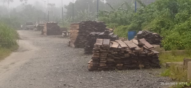 How youth unemployment drives deforestation in Rivers community