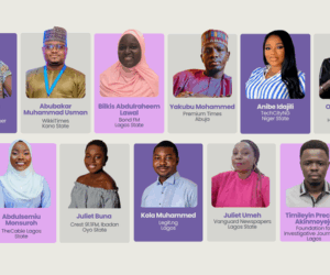 TechCabal’s Frank Eleanya, 14 others make Digital Public Infrastructure Journalism Fellowship 