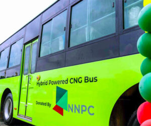 Dana Motors Unveils Cutting-Edge CNG, Electric Vehicles At 2025 Abuja Motor Fair 