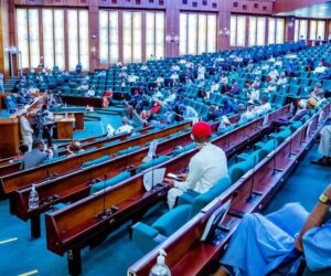 Niger school abduction: ‘No child should be at the mercy of terrorists’ — Lawmakers