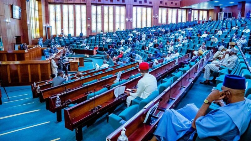 Niger school abduction: ‘No child should be at the mercy of terrorists’ — Lawmakers