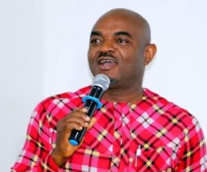 ‘Your daughter needs help; AGN elections should not be your focus’ — Emeka Rollas to Rita Daniels