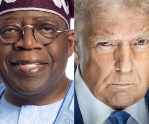 Genocide: Resist temptation to visit US, concerned Nigerians tell Tinubu 