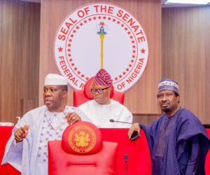 Kebbi abduction: Senate seeks emergency recruitment of 100, 000 men into military