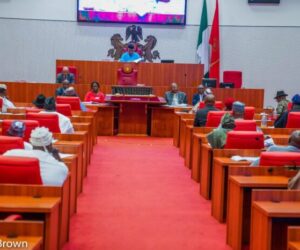 Happening now: Senate confirms Udeh as minister