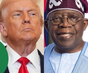 Nigeria ready to work with US, other countries to wipe out terrorism – FG