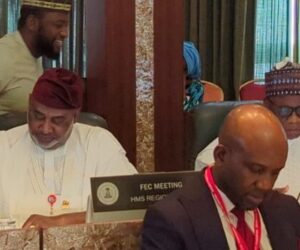 New science & tech minister  Udeh promises to take STI to greater heights 