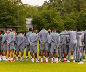 Osimhen absent as Lookman, 15 other Super Eagles train for 2025 World Cup playoffs