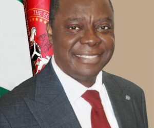 Lone Labour Party Senator From Enugu Is Dead