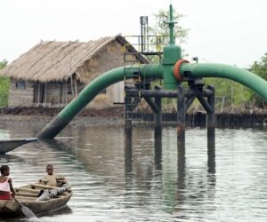Ogonis Demand Full Environmental Remediation, Autonomy Before Oil Resumption – Arise News