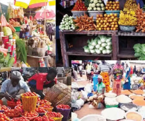 FG Tasks Stakeholders On Food Security
