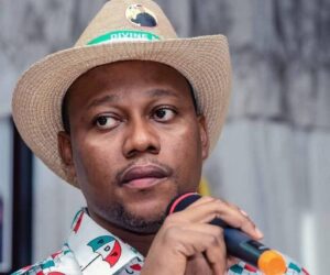 New PDP spokesperson discloses new direction party will follow