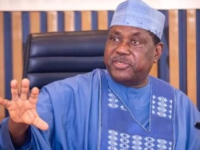 ‘Dangerous narrative’ — FG says Trump’s comments have emboldened violent groups