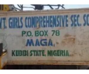 PDP condemns Kebbi school abductions, faults FG over rising insecurity