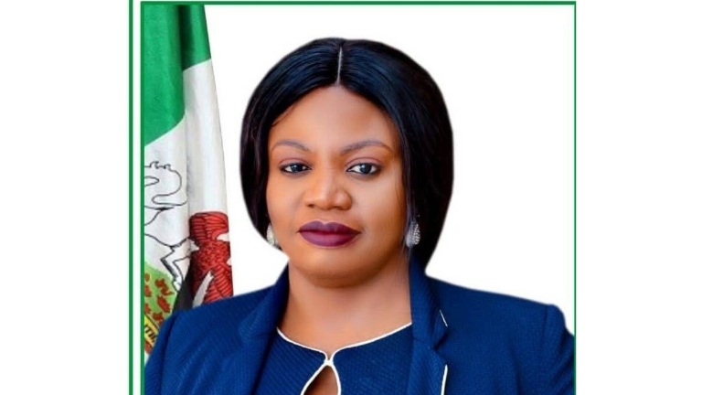 Benue SUBEB chair highlights IPSAS role in boosting accountability, ensuring timely funding