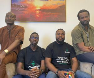 GreenBii Unleashes Software 2.0 for African SMEs | Tech | Business